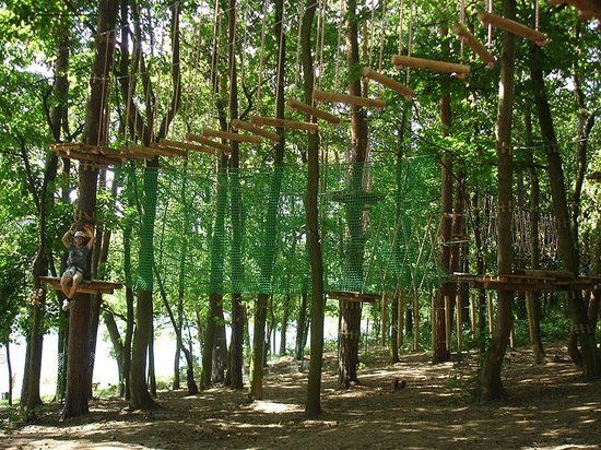 Park linowy TARZANIA